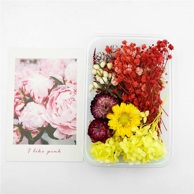 Kreativna kutija sa suhim cvijećem Festivalska zabava Aromaterapijska svijeća Ogrlica s privjeskom od epoksidne smole Izrada nakita Zanati DIY dodaci