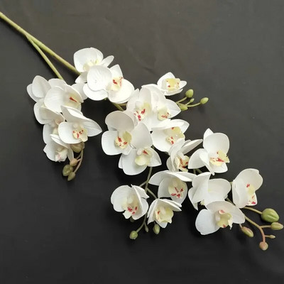 3D Printing 21 Forks Phalaenopsis Τεχνητό λουλούδι Phalaenopsis Μινιατούρα Τοπίο Διακόσμηση Εγκαταστάσεις προσομοίωσης διακόσμησης σπιτιού