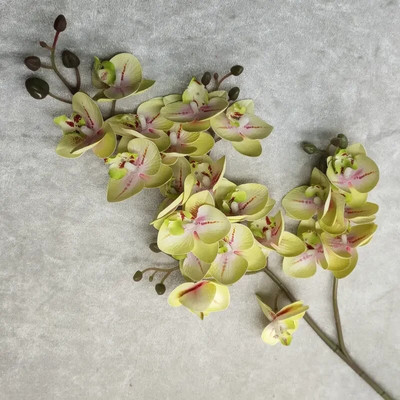 3D Printing 21 Forks Phalaenopsis Τεχνητό λουλούδι Phalaenopsis Μινιατούρα Τοπίο Διακόσμηση Εγκαταστάσεις προσομοίωσης διακόσμησης σπιτιού