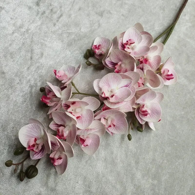 3D Printing 21 Forks Phalaenopsis Τεχνητό λουλούδι Phalaenopsis Μινιατούρα Τοπίο Διακόσμηση Εγκαταστάσεις προσομοίωσης διακόσμησης σπιτιού