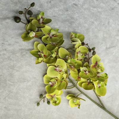 3D Printing 21 Forks Phalaenopsis Τεχνητό λουλούδι Phalaenopsis Μινιατούρα Τοπίο Διακόσμηση Εγκαταστάσεις προσομοίωσης διακόσμησης σπιτιού