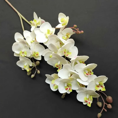 3D Printing 21 Forks Phalaenopsis Τεχνητό λουλούδι Phalaenopsis Μινιατούρα Τοπίο Διακόσμηση Εγκαταστάσεις προσομοίωσης διακόσμησης σπιτιού