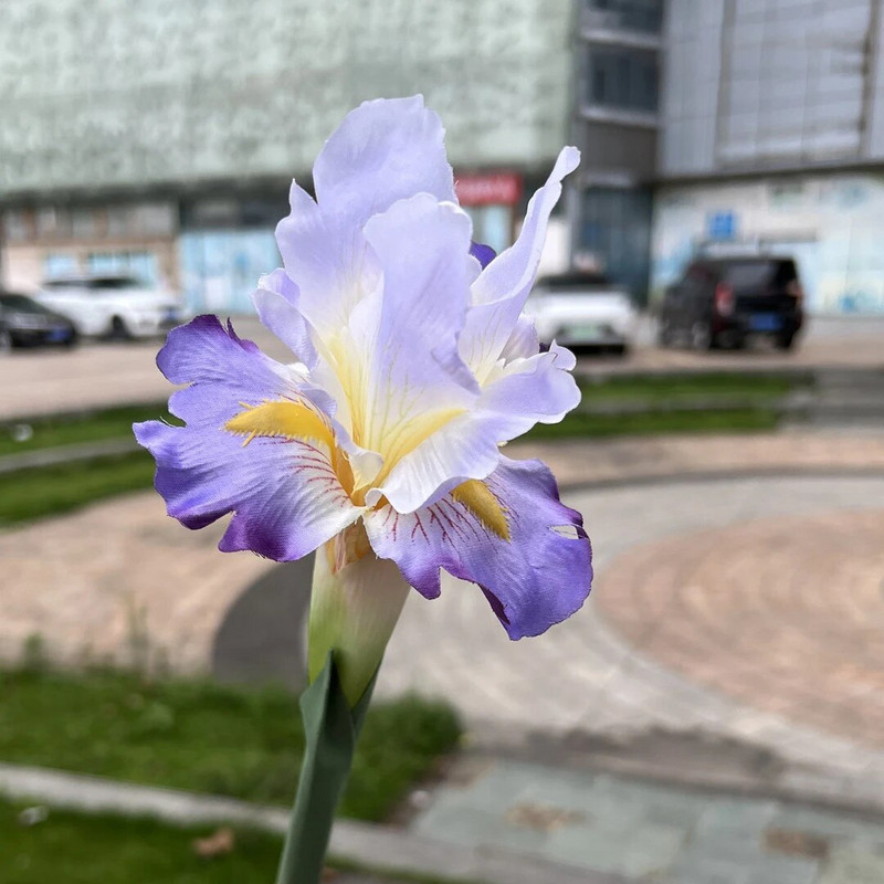 YOMDID Umelé falošné hodvábne kvety Iris, konáre, jar, svadobné dekorácie na stôl, kvety, hodvábne falošné kvety, párty potreby