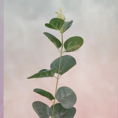 Briežu mazuļa dzimšanas dienas kūku pildījums Akrila ziedi bērniem bērniem meitenes mazas dāvanas kūkas dekorēšanai.