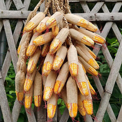 Simulatsioon Köögiviljade ripats Kunstköögiviljad Võltsitud Köögiviljad Vaht Pipar Maapähkel Mais Küüslauk Restorani kaunistused