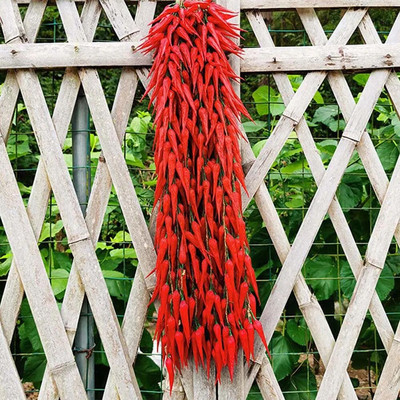 Simulatsioon Köögiviljade ripats Kunstköögiviljad Võltsitud Köögiviljad Vaht Pipar Maapähkel Mais Küüslauk Restorani kaunistused