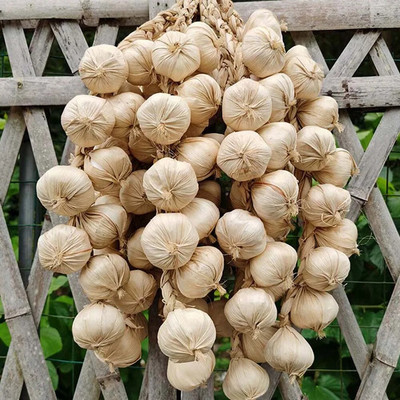 Simulatsioon Köögiviljade ripats Kunstköögiviljad Võltsitud Köögiviljad Vaht Pipar Maapähkel Mais Küüslauk Restorani kaunistused