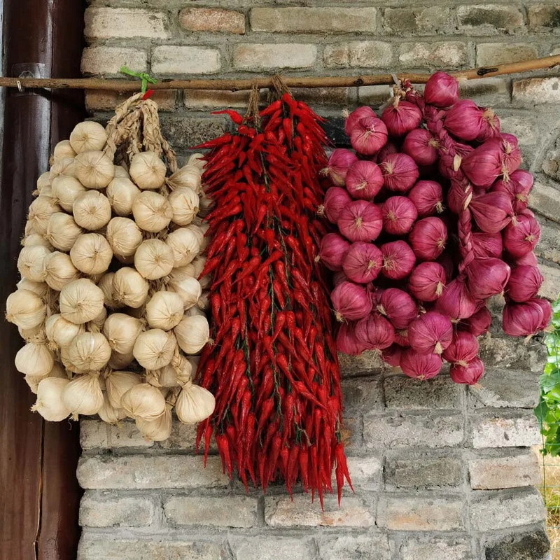 Simulatsioon Köögiviljade ripats Kunstköögiviljad Võltsitud Köögiviljad Vaht Pipar Maapähkel Mais Küüslauk Restorani kaunistused