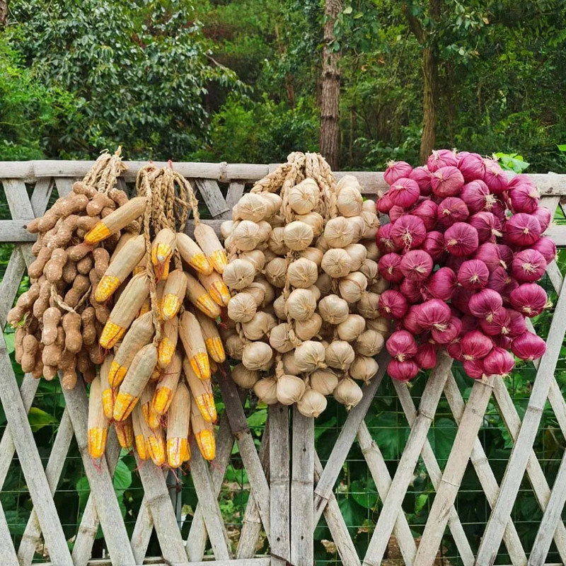 Simulatsioon Köögiviljade ripats Kunstköögiviljad Võltsitud Köögiviljad Vaht Pipar Maapähkel Mais Küüslauk Restorani kaunistused