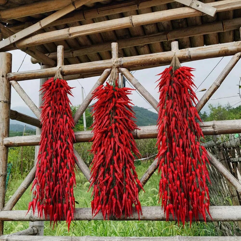 Simulatsioon Köögiviljade ripats Kunstköögiviljad Võltsitud Köögiviljad Vaht Pipar Maapähkel Mais Küüslauk Restorani kaunistused