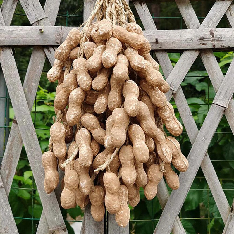 Simulatsioon Köögiviljade ripats Kunstköögiviljad Võltsitud Köögiviljad Vaht Pipar Maapähkel Mais Küüslauk Restorani kaunistused