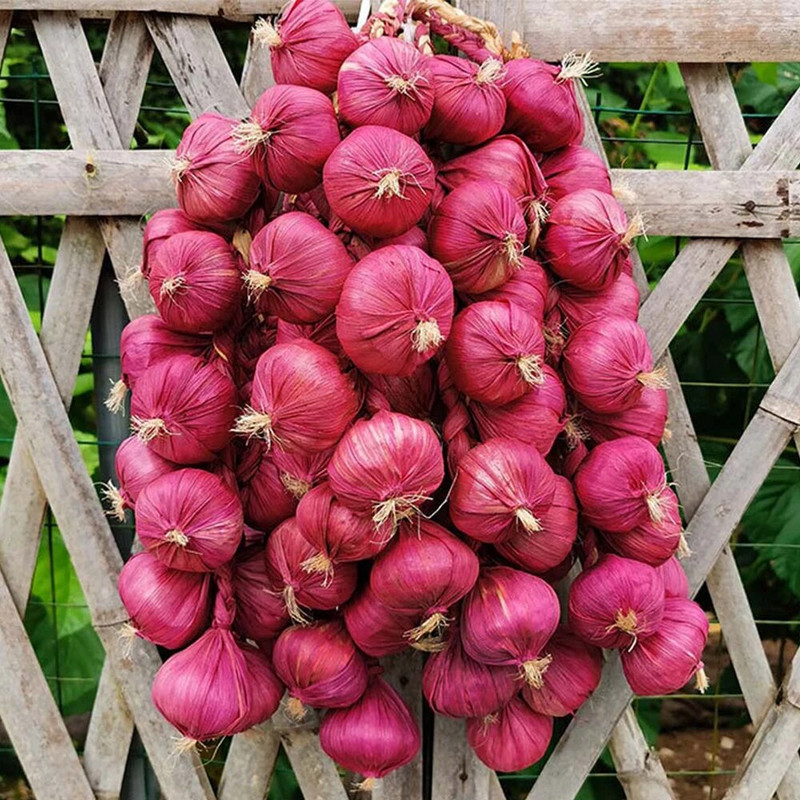 Simulatsioon Köögiviljade ripats Kunstköögiviljad Võltsitud Köögiviljad Vaht Pipar Maapähkel Mais Küüslauk Restorani kaunistused