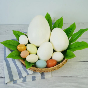 Προσομοίωση Αυγό Στρουθοκαμήλου Αυγό Χήνας Ορτύκι Αυγό Πάπιας Ζωγραφική Πασχαλινό Αυγό Σκοποβολής Μοντέλο στηρίγματα στο χώρο της παράστασης