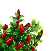 10 KOM Umjetna plastična simulacija biljaka čili papričica Korsaž Stavljanje voća i povrća za novogodišnje uređenje doma