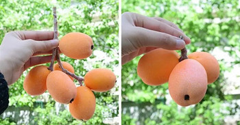 Lifelike Faux Fruit Simulated Loquat Διακοσμητικός Αφρός Τεχνητά Φρούτα Ψεύτικα Φρούτα Φωτογραφικά στηρίγματα Διακόσμηση σπιτιού