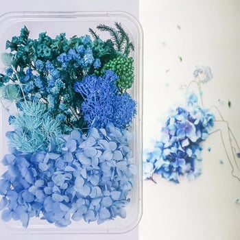 Смесени естествени цветя за изработка на калъф за мобилен телефон Ароматерапия Занаяти Епоксидна смола Направи си сам висулка Колие Бижута Занаят Ново