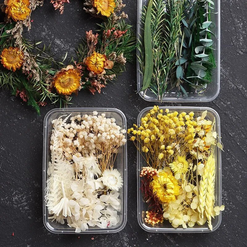 1 kutija šarenog prirodnog osušenog cvijeća za ručno izrađene rukotvorine od epoksidne smole DIY buket vijenac izrada svijeća kućna dekoracija vjenčanja