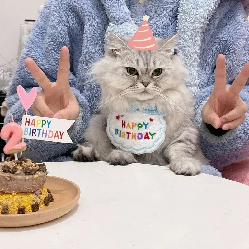 Ins Dog Cat Gimtadienio vakarėlio kepurė Miela naminio gyvūno gimtadienio vakarėlis Apsirengimas Gimtadienio vakarėliu iš naminių gyvūnėlių audeklo Seilinukai Kepurės Fotografijos reikmenys Gimtadienio reikmenys