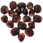 20 ks vianočných ozdôb s jedlami, falošných gaštanových dekorácií, modelov umelých orieškov, vianočných dekorácií na svadobný vianočný stromček.