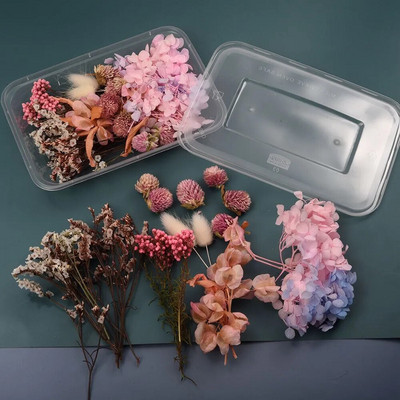 1 kutija Pravo prirodno bijelo osušeno cvijeće Biljke za kalupe od epoksidne smole DIY Pribor za izradu svijeća Rukotvorine Kućna dekoracija vjenčanja