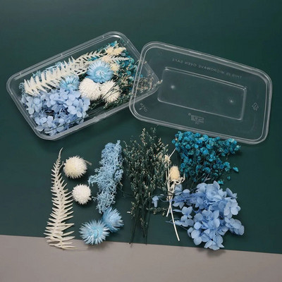 1 kutija Pravo prirodno bijelo osušeno cvijeće Biljke za kalupe od epoksidne smole DIY Pribor za izradu svijeća Rukotvorine Kućna dekoracija vjenčanja