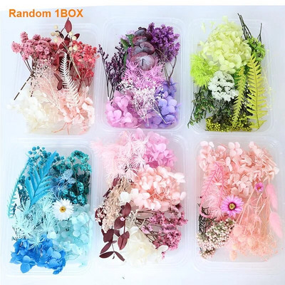 1 kutija Pravo prirodno bijelo osušeno cvijeće Biljke za kalupe od epoksidne smole DIY Pribor za izradu svijeća Rukotvorine Kućna dekoracija vjenčanja