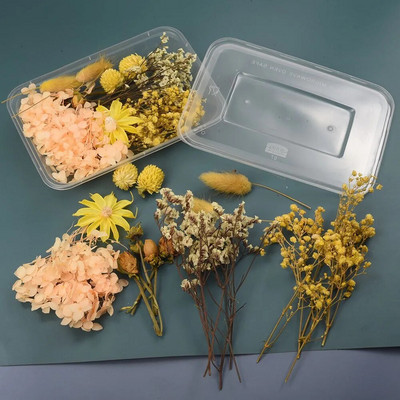 1 kutija Pravo prirodno bijelo osušeno cvijeće Biljke za kalupe od epoksidne smole DIY Pribor za izradu svijeća Rukotvorine Kućna dekoracija vjenčanja