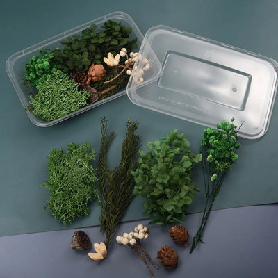 1 kutija Pravo prirodno bijelo osušeno cvijeće Biljke za kalupe od epoksidne smole DIY Pribor za izradu svijeća Rukotvorine Kućna dekoracija vjenčanja
