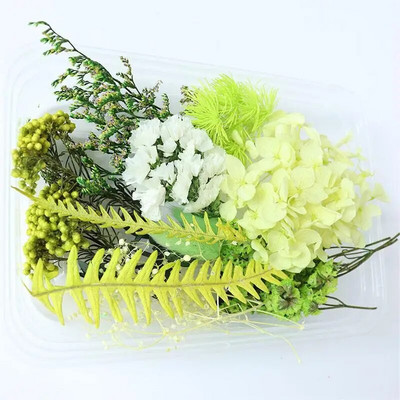 1 kutija Pravo prirodno bijelo osušeno cvijeće Biljke za kalupe od epoksidne smole DIY Pribor za izradu svijeća Rukotvorine Kućna dekoracija vjenčanja