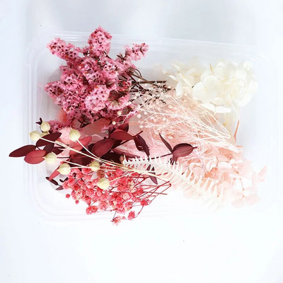 1 kutija Pravo prirodno bijelo osušeno cvijeće Biljke za kalupe od epoksidne smole DIY Pribor za izradu svijeća Rukotvorine Kućna dekoracija vjenčanja