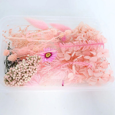 1 kutija Pravo prirodno bijelo osušeno cvijeće Biljke za kalupe od epoksidne smole DIY Pribor za izradu svijeća Rukotvorine Kućna dekoracija vjenčanja