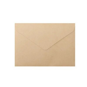 10 tk/pakk 16x11,5 cm vaniljepaberist pronksivärvi ärikutse ümbrik Pulmakutse ümbriku kohandamine