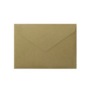 10 tk/pakk 16x11,5 cm vaniljepaberist pronksivärvi ärikutse ümbrik Pulmakutse ümbriku kohandamine