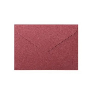 10 tk/pakk 16x11,5 cm vaniljepaberist pronksivärvi ärikutse ümbrik Pulmakutse ümbriku kohandamine