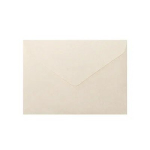 10 tk/pakk 16x11,5 cm vaniljepaberist pronksivärvi ärikutse ümbrik Pulmakutse ümbriku kohandamine