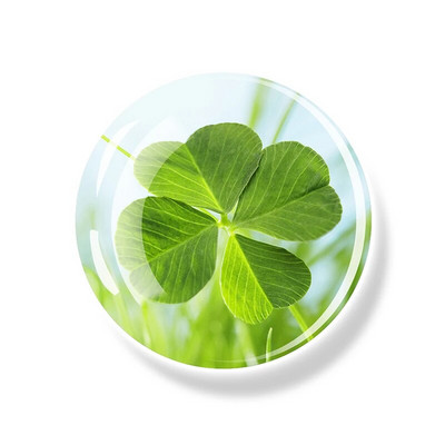 Dobilo magnetas Šaldytuvas Shamrock Lipdukai Keturių lapų dobilas Lucky Glass Dome Šaldytuvo magnetai Šv. Patriko dienos namų dekoro dovanos