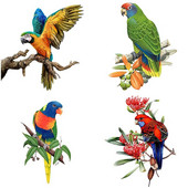 Three Ratels QCF46 Kézzel festett Papagáj falmatrica lakásdekorációhoz WC-matrica