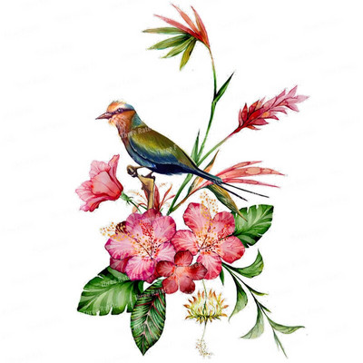 Three Ratels QCF46 Kézzel festett Papagáj falmatrica lakásdekorációhoz WC-matrica