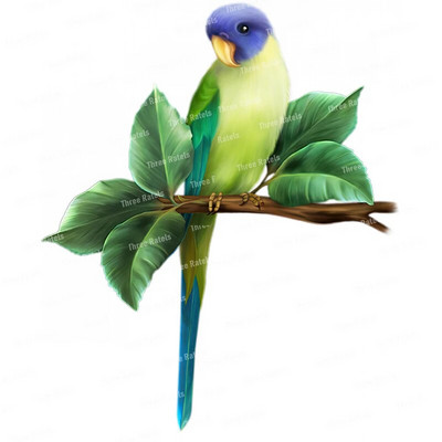 Three Ratels QCF46 Kézzel festett Papagáj falmatrica lakásdekorációhoz WC-matrica