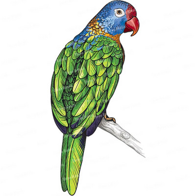 Three Ratels QCF46 Kézzel festett Papagáj falmatrica lakásdekorációhoz WC-matrica