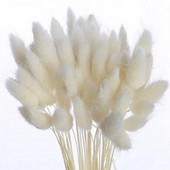 Fireless Aroma Elutuba Käsitsi valmistatud aroom Lenduvad hajutipulgad Kuivatatud lilled Aromaatsed Viiruk Igavene