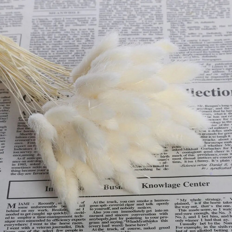 „Fireless Aroma Living Room“ rankų darbo kvapas, lakus difuzoriaus lazdelės, džiovintos gėlės, aromatingi smilkalai amžinai