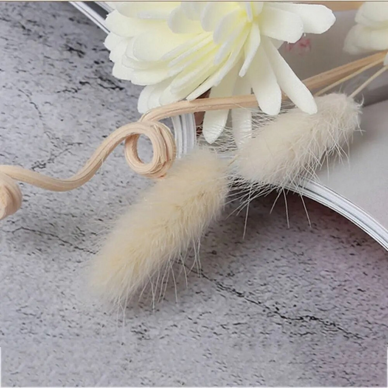 „Fireless Aroma Living Room“ rankų darbo kvapas, lakus difuzoriaus lazdelės, džiovintos gėlės, aromatingi smilkalai amžinai