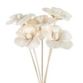 5 vnt. 6 cm slyvų žiedų ugniai atsparus aromaterapinis rotango lazdelių kvapų difuzorius „pasidaryk pats“ namų dekoras