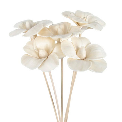 5 vnt. 6 cm slyvų žiedų ugniai atsparus aromaterapinis rotango lazdelių kvapų difuzorius „pasidaryk pats“ namų dekoras