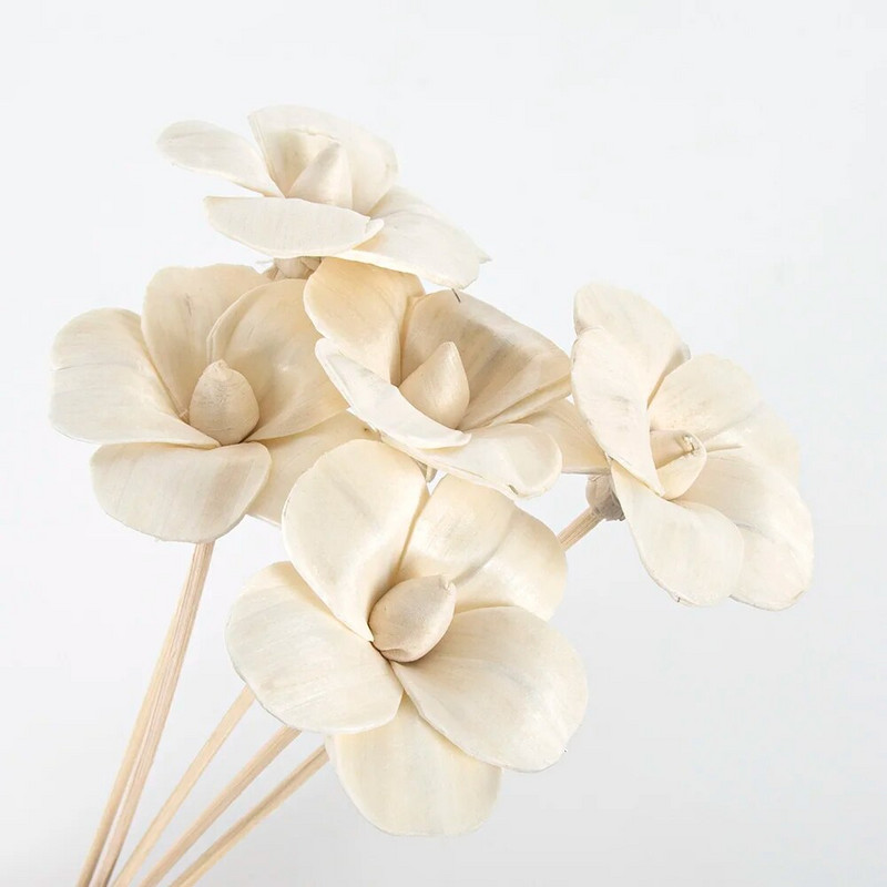 5 vnt. 6 cm slyvų žiedų ugniai atsparus aromaterapinis rotango lazdelių kvapų difuzorius „pasidaryk pats“ namų dekoras