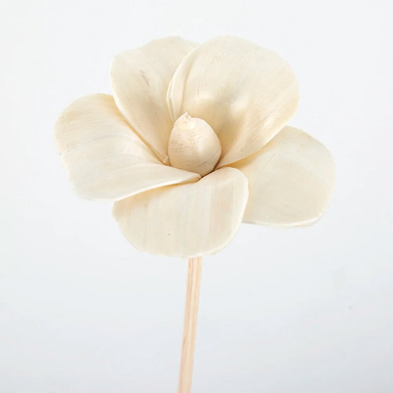 5 vnt. 6 cm slyvų žiedų ugniai atsparus aromaterapinis rotango lazdelių kvapų difuzorius „pasidaryk pats“ namų dekoras