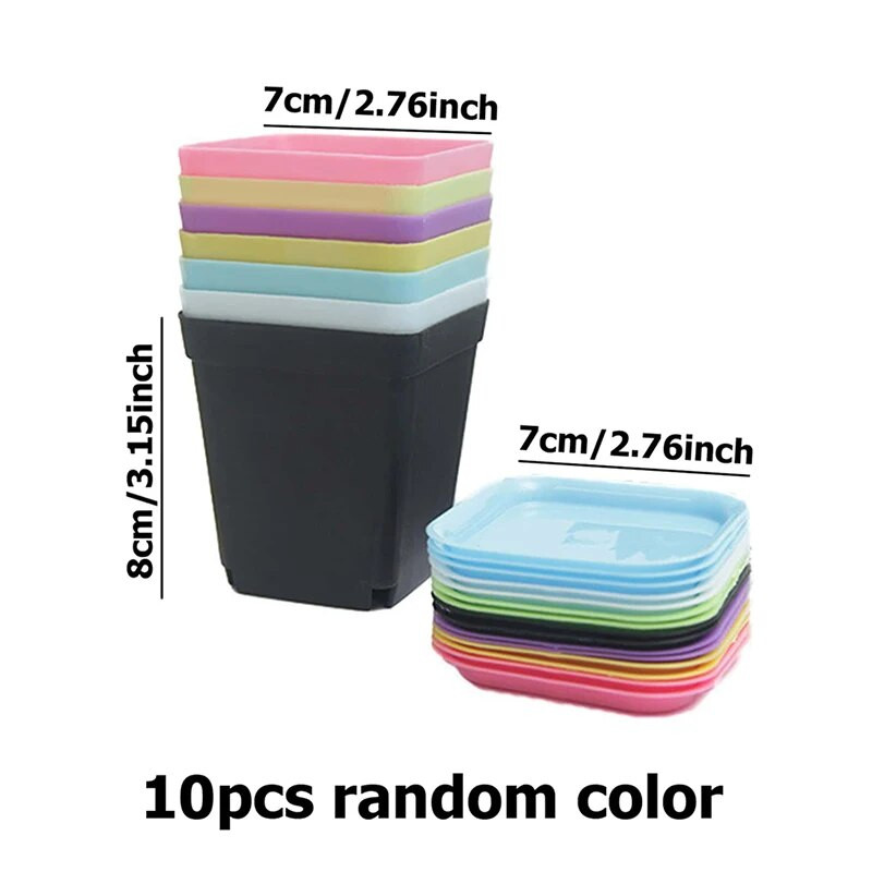 10 ΤΕΜ. Μίνι κηπουρικής Μικρή τετράγωνη γλάστρα Επτά χρωμάτων Γλάστρα χυμώδη Μικρή μαύρη τετράγωνη πλαστική γλάστρα Δίσκος σπορόφυτων TMZ