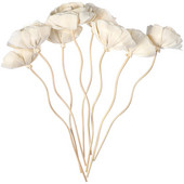 8 tk kunstlillede rotangist pilliroo lõhnaaine aroomihajuti täitepulk DIY lilledega hajutipulgad