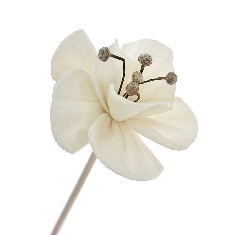 6 vnt Rudos kuokelinės gėlės rotango lazdelės be ugnies kvepalų nendrių difuzoriaus lazdelės pasidaryk pats papuošalai namų dekoravimui